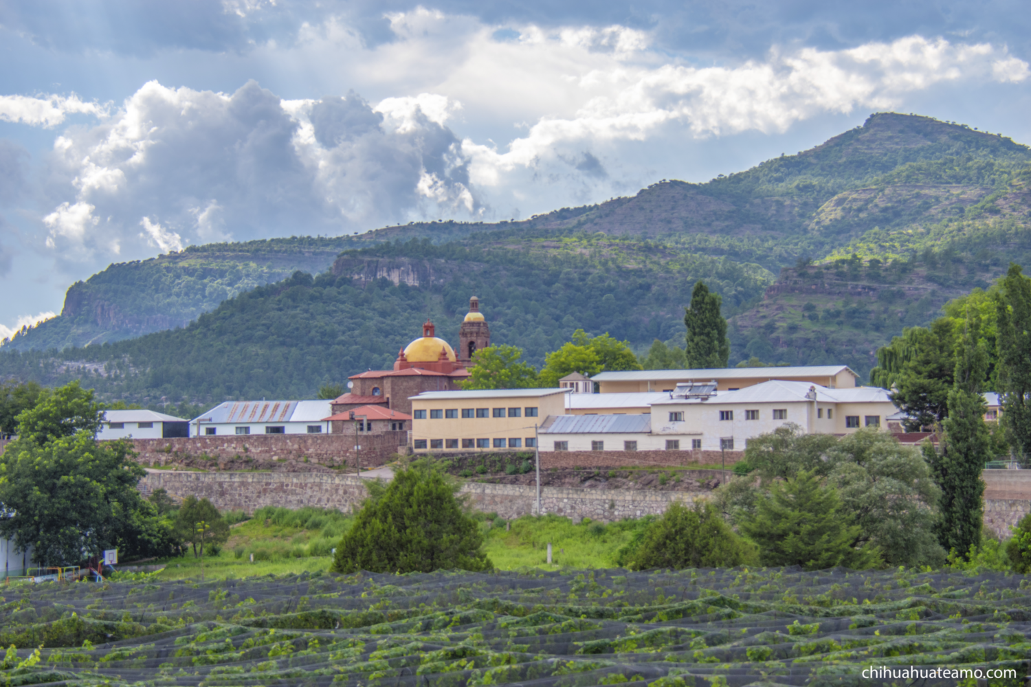 Vista panorámica de Cerocahui